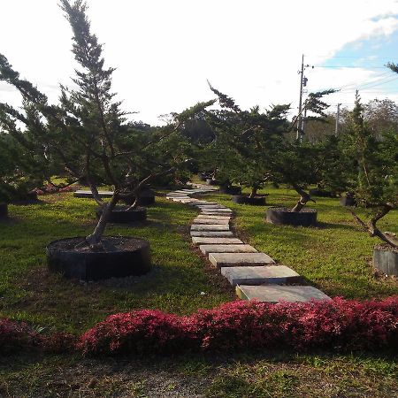 Du Du Hao B&B Luye Dış mekan fotoğraf