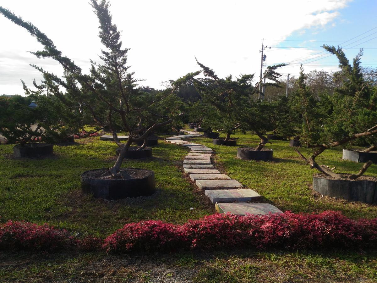 Du Du Hao B&B Luye Dış mekan fotoğraf